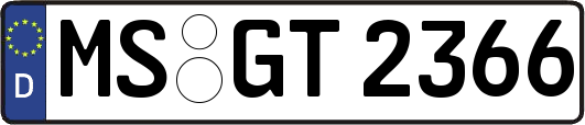 MS-GT2366