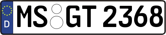 MS-GT2368