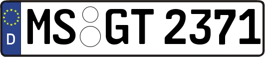 MS-GT2371