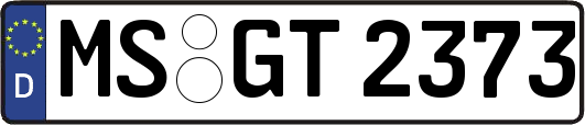 MS-GT2373