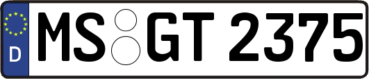 MS-GT2375