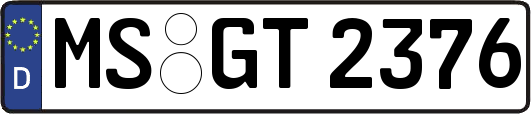 MS-GT2376