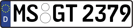 MS-GT2379