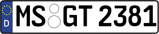 MS-GT2381