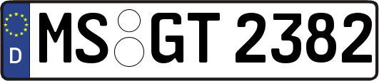 MS-GT2382
