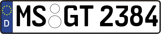 MS-GT2384