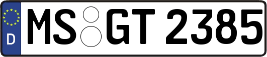MS-GT2385