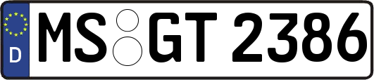 MS-GT2386