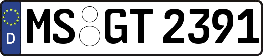MS-GT2391