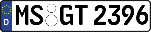 MS-GT2396