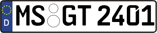 MS-GT2401
