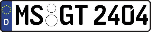 MS-GT2404