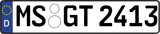 MS-GT2413