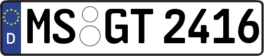 MS-GT2416