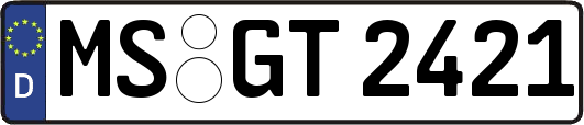 MS-GT2421