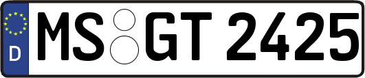 MS-GT2425