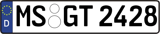 MS-GT2428