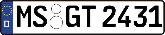 MS-GT2431