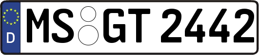 MS-GT2442