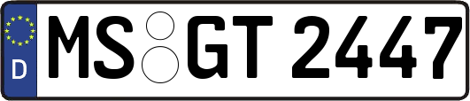 MS-GT2447