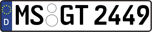 MS-GT2449
