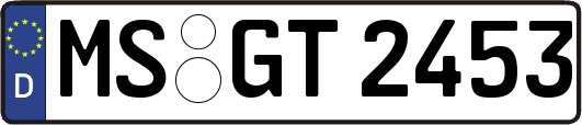 MS-GT2453