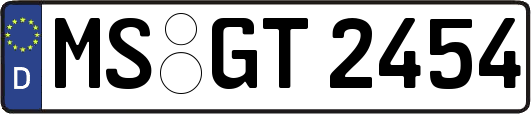 MS-GT2454