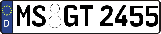 MS-GT2455