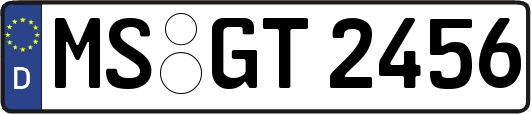 MS-GT2456