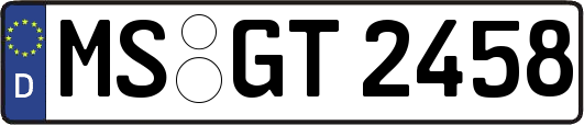 MS-GT2458