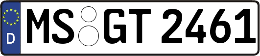 MS-GT2461