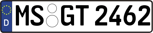 MS-GT2462