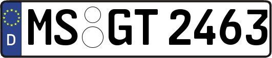 MS-GT2463