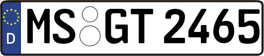 MS-GT2465