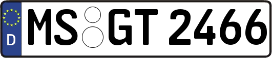 MS-GT2466