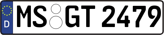 MS-GT2479