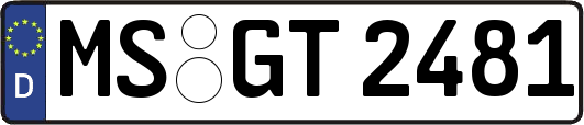 MS-GT2481