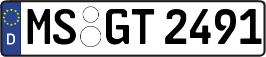 MS-GT2491