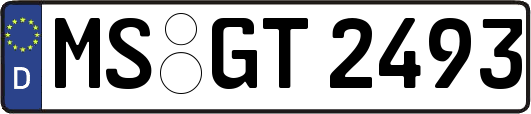 MS-GT2493