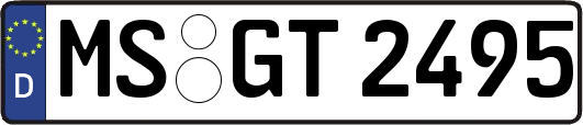 MS-GT2495