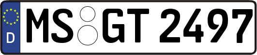 MS-GT2497