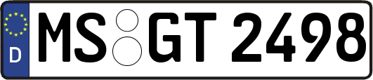 MS-GT2498