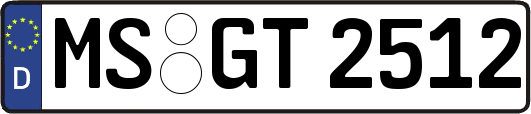 MS-GT2512