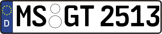MS-GT2513