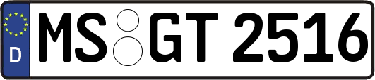 MS-GT2516