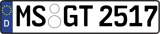 MS-GT2517