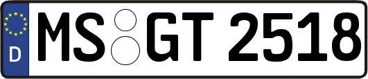 MS-GT2518