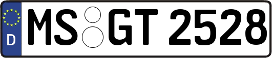 MS-GT2528