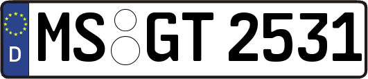 MS-GT2531