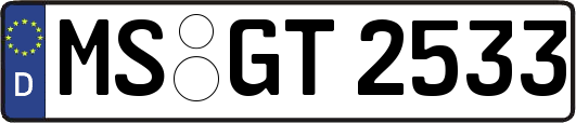 MS-GT2533